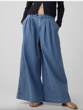 Gap x Doen Wide Leg Pants (SZ 33/16)